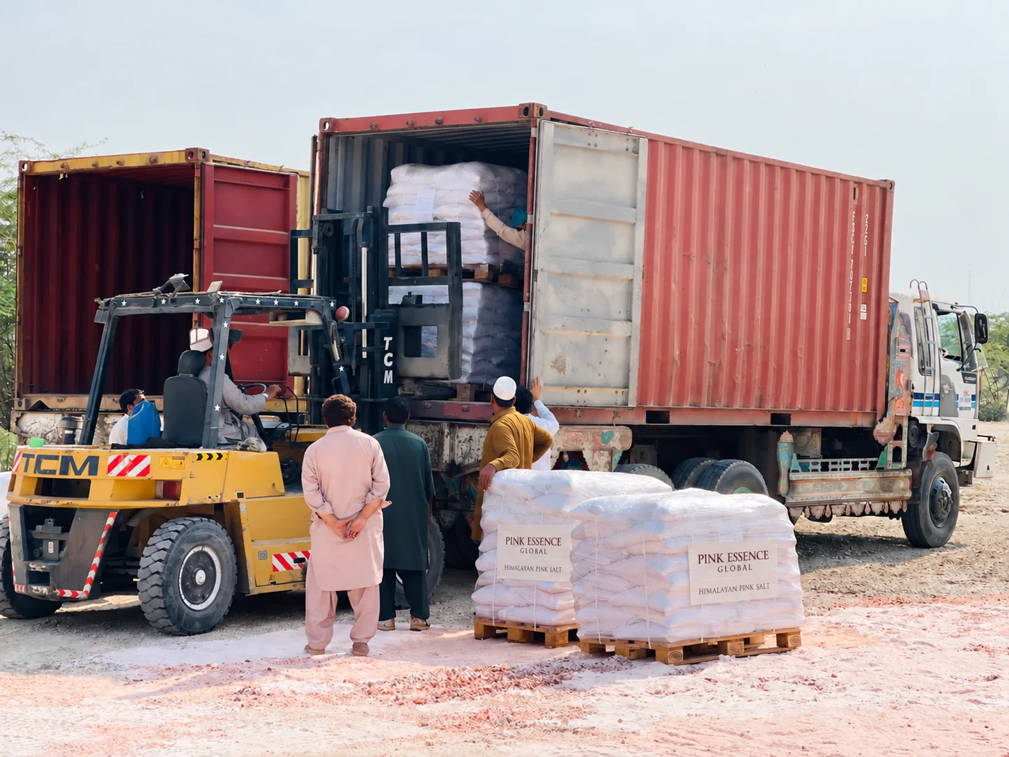Workers and forklift loading wrapped salt pallets into a container; digitally added Pink Essence pallet labels